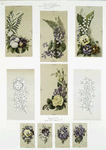 Birthday, Christmas and New Year cards with botanical illustrations.