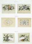 Cards depicting flowers and bells.