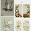 Birthday, Christmas, Easter and Valentine cards depicting flowers, a nest, a dove and a vase.