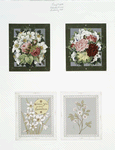 Birthday and Valentine cards depicting flowers.