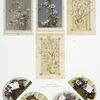 Birthday, Easter and Valentine cards with decorative design, depicting butterflies, vases, fans, flowers and a bird.