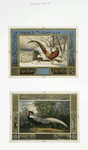 Cards with decorative borders, depicting pheasants in the snow and by a lake.