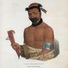 Wadt-he-doo-kaana, Chief of the Winnnebagoes.