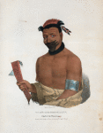 Wadt-he-doo-kaana, Chief of the Winnnebagoes.