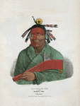 Waa-top-e-not or the Eagle's Bed, a Fox Chief.