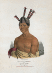 Waa-kaun-see-kaa, or the Rattle-Snake, a Winnebago Chief.