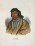 Ma-ga-zee, a Pottawatomie Chief.