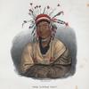 The Little Crow, a celebrated Sioux Chief.