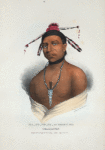 Ma-ko-me-ta or Bear's Oil, a Monomonie Chief.