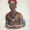 Mauck-coo-maun, a celebrated Ioway Chief.
