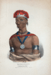 Mauck-coo-maun, a celebrated Ioway Chief.