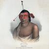 Pe-a-jick, a Chippewa Chief.