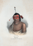 Pe-a-jick, a Chippewa Chief.