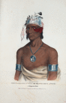 Shing-gaa-ba-w'osin or the Figure'd Stone, a Chippewa Chief.