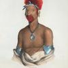 Waa-pa-laa or the Playing Fox, Prince of the Fox tribe.