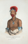 Waa-pa-laa or the Playing Fox, Prince of the Fox tribe.
