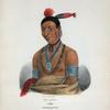 Wa-kaun or the Snake, a Winnebago Chief.