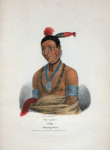 Wa-kaun or the Snake, a Winnebago Chief.