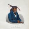 A young Miami Chief.