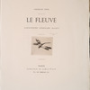 Libellule.