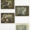 Christmas and birthday cards with flowers and butterflies.