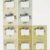Birthday and New Year cards with botanical ornamentation.
