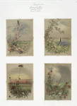 Garland of Love [Valentines depicting birds in landscapes with flowers].