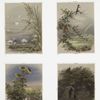 Valentines depicting landscapes with plants, flowers, birds, wild mushrooms, and a rainbow.