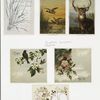 Christmas, New Year, and Easter cards depicting flowers, butterflies, birds, deer.