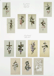 Easter cards depicting flowers on crosses; trees with birds.