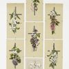 Easter cards depicting flowers, crosses, and fields with butterflies.