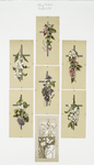 Easter cards depicting flowers, crosses, and fields with butterflies.