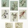 Valentines depicting flowers, butterflies, and landscapes.