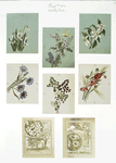 Valentines depicting flowers, butterflies, and landscapes.