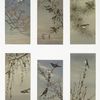 Birthday cards depicting birds perched on tree branches.