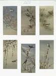Birthday cards depicting birds perched on tree branches.