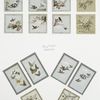 Valentines and Easter cards depicting birds, butterflies, and flowers.