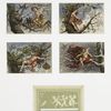 Birthday cards depicting angels in trees with birds and fruit.
