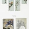 Christmas cards depicting flowers and winter landscapes with a cross of snow in the mountains.