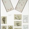 Birthday cards depicting plant and flower forms; birds.