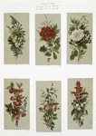 Prints depicting flowers.