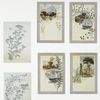 Birthday cards depicting scenes by the water with ship; botanical ornamentation.