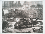 Guerre civile.