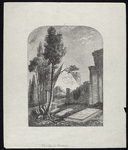 Shelley's grave