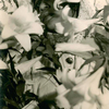 Beatrice Robinson-Wayne as St. Therese in Four Saints in Three Acts. March 9, 1934