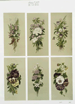 Prints depicting flowers.