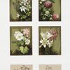 Christmas and New Year cards depicting flowers and birds.