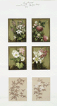 Christmas and New Year cards depicting flowers and birds.