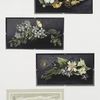 Easter cards depicting flowers and landscape with mountains.