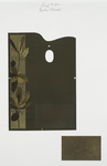 A Calendar from John Ruskin : not for a year but for all time.